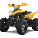 Daytona 250 FI